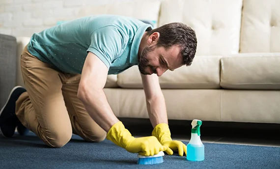 Professional Odor Removal Services